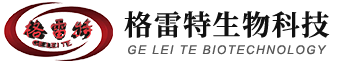 油缸
